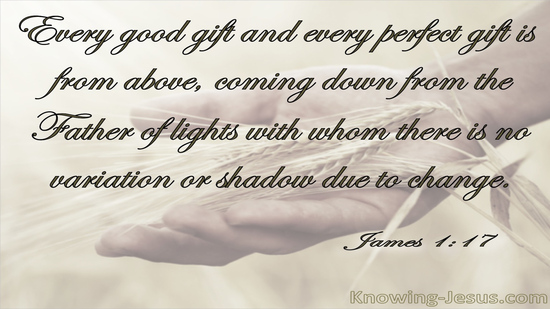 James 1:17 Every Good And Perfect Gift Is From Above (beige)
